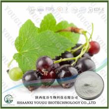 China Alpha  Arbutin , Skin whitening alpha  arbutin   powder 
