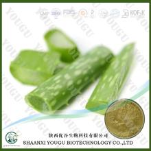 China Aloe Vera Gel Freeze Dried Powder factory