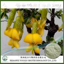 China Genistein, soybean extract genistein, daidzein factory