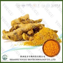 China Curcumin powder,  Turmeric , Curcuma  Longa  extract  powder factory