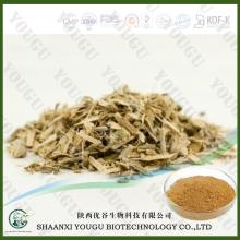 China  White   Willow   Bark  Extract 15%, 25%, 50%, 98%  Salicin  Factory