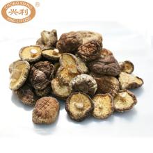 Premium Autumn Brown Dark Surface 5.0 - 5.5 cm Cap Completely Curling Rim Stem Cut Shiitake Mushroom