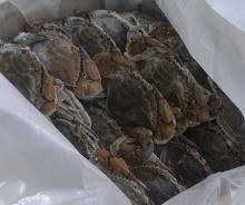 blue crab whole