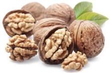 Walnut & Walnut Kernel for Sale/New Crop Wholesale Walnut Kernel Price