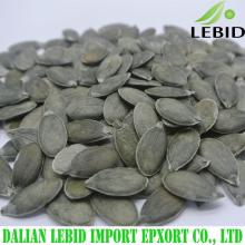 Pumpkin kernel type GWS pumpkin seeds