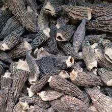 Factory Price Cap 3-8CM Cultivated Dried Morel Mushroom without Stem