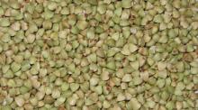 Good quality raw buckwheat kernel