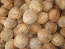HIGH QUALITY FRESH  COCONUT   YOUNG  /  Coconut  water 330ml/500ml
