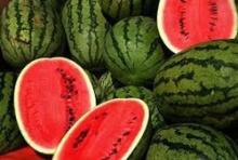 Fresh water melon fruits WHOLESALE