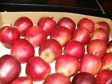 Fresh Fuji Apple fruits for sale