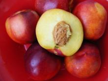 Fresh Nectarine Fruits for sale