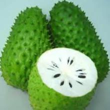 FRESH SOURSOP FRUITS - GRAVIOLA - HIGH QUALITY AND BEST PRICE