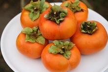 Fresh Persimmon Fruits