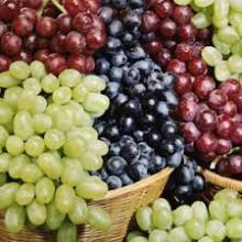 Sweet  Fresh   Grapes  For  Sale /  Fresh  table grape