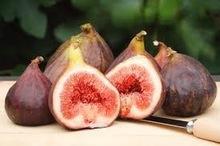 WholesaIe Fresh Fig fruits