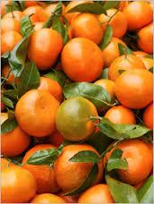 Fresh Tangerines For Sale
