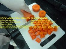 CARROT
