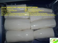  cassava 