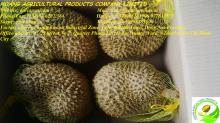 DURIAN WHOLE