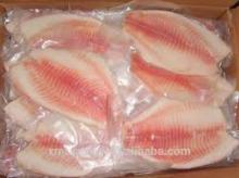 BLACK  TILAPIA   FISH  FILLET