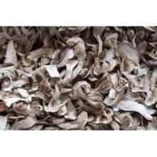 Dried boletus edulis