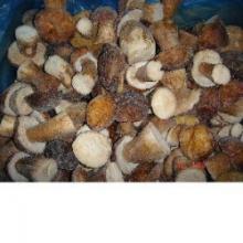 Wild Mushroom Frozen Boletus Luteus