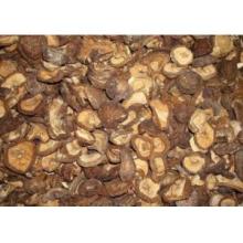 Dried Shiitake Mushroom  Boletus 