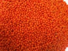 Turkish Red Lentil