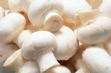  Mushroom s,  Frozen   Mushroom s