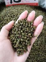 Dried Green Bell Pepper/Dehydrated Green Bell Pepper 6*6mm, Fresh Pepper