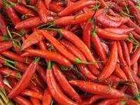 Dried Red Chilis Pepper