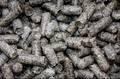 Sugar Beet Pulp Pellets