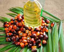 Palm Oil