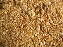 Top Quality Kidney Beans, Soybean s and  Soyabean s Milk Available