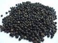 Best Quality Dried Black Pepper 570G/L