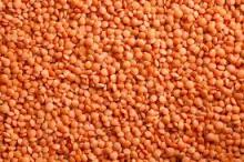 Red Lentils Whole