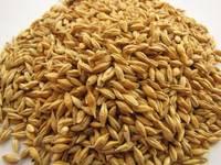  Feed   Barley   Grain  , Red Millet, Green Millet,Sorghum