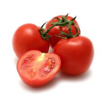 Fresh Tomato for sale