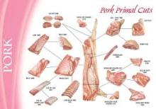  Pork   Meat   Carcass  & Cuts