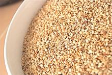 sesame seed