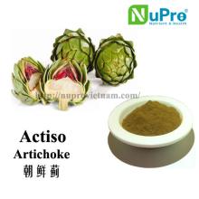 Artichoke extract