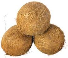 FRESH SEMI HUSKED  COCONUT /  Desiccated   Coconut 