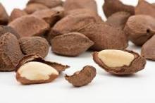 Quality  Brazil   Nuts  for  sale 