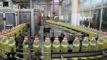 Best Brand Sunflower Oil Available with  High  Nutritional  Value 