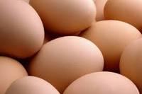  farm   fresh   Chicken   Eggs  At Affordable Prices