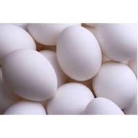 Fresh Eggs Exporters (Chicken Egg, Ostrich Eggs, Fish Egg, Quail Egg, Duc(WhatsApp Me +237682406689)
