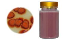 Red Yeast Rice powder