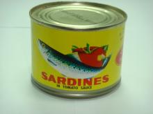 canned sardines in tomato sauce