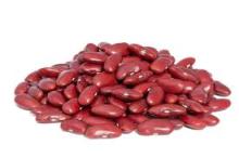 High qualtiy red kidney bean
