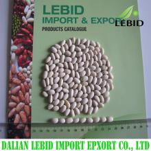 2016 Crop  white  kidney  beans   baishake   type 